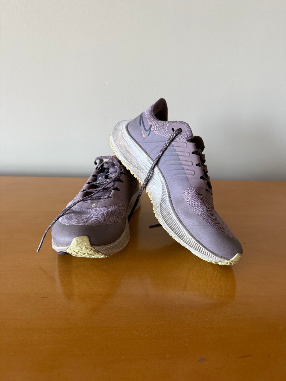 Nike Air Zoom Pegasus 38 Shield